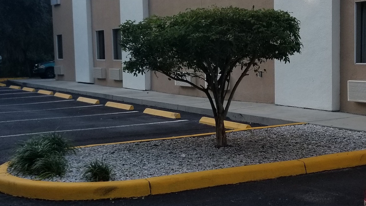 Photo of Outdoor in Zephyrhills