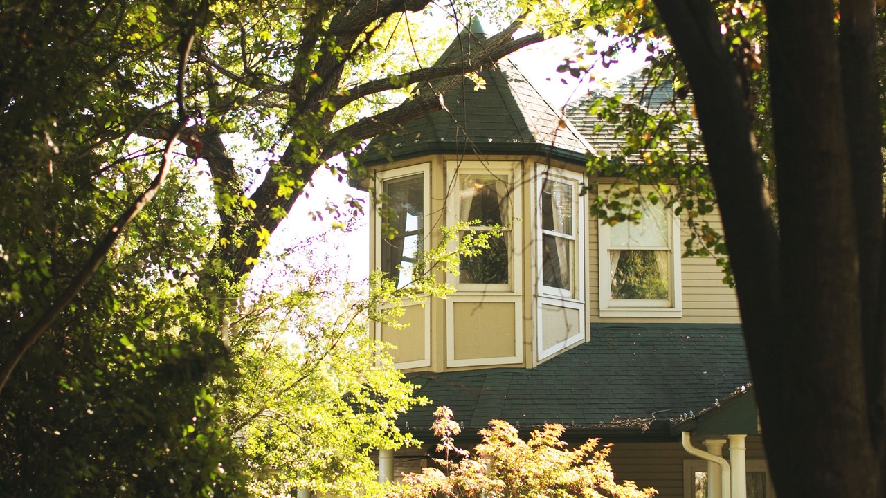 Photo of Outdoor in Central Arlington