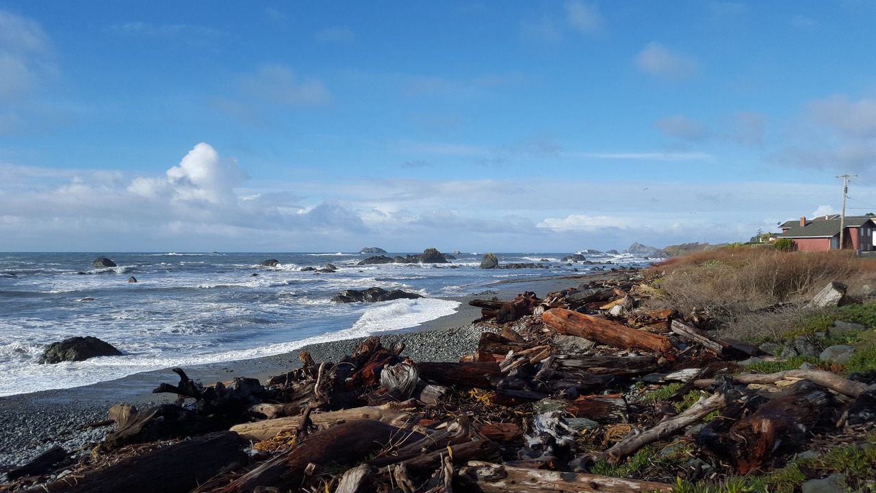 Photo of Others in Crescent City