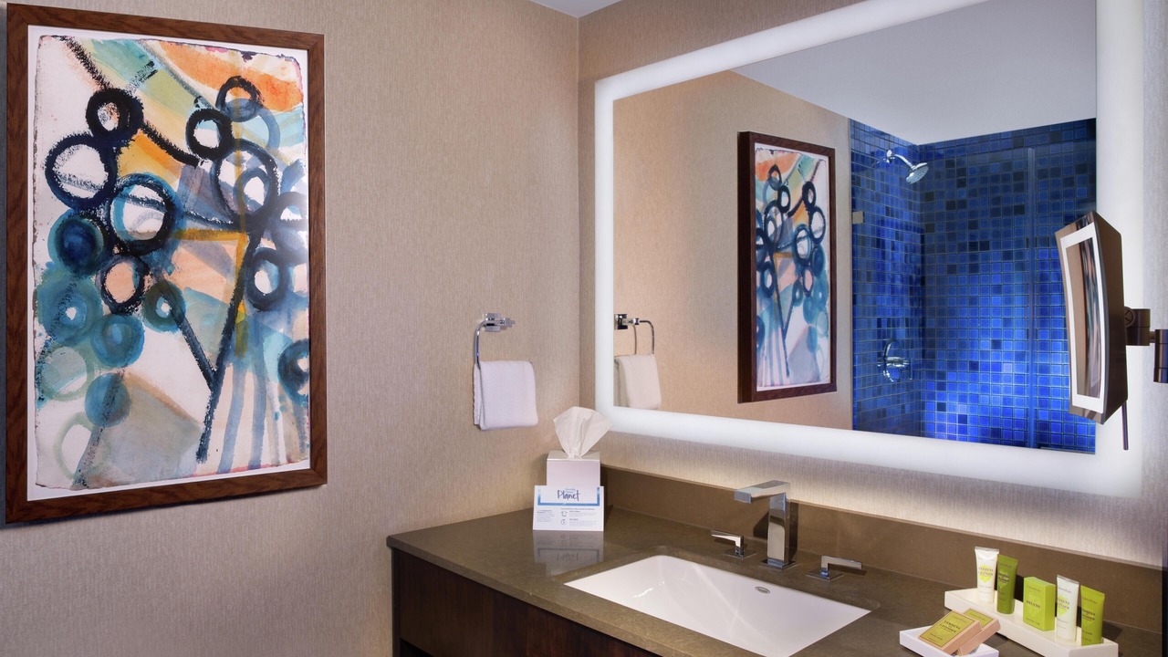 Photo of Bathroom in Waller Creek District