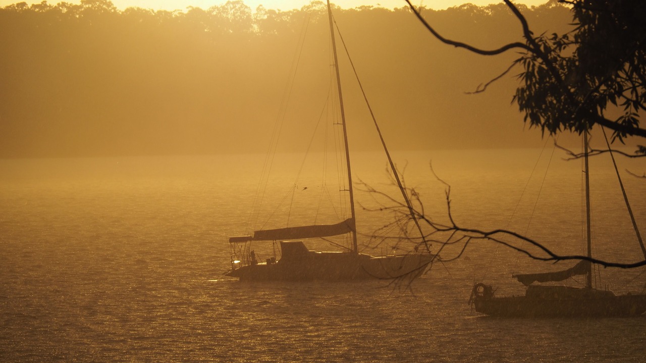 Photo of Others in Warners Bay
