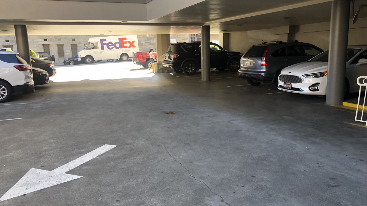 Photo of Others in Pacific Heights