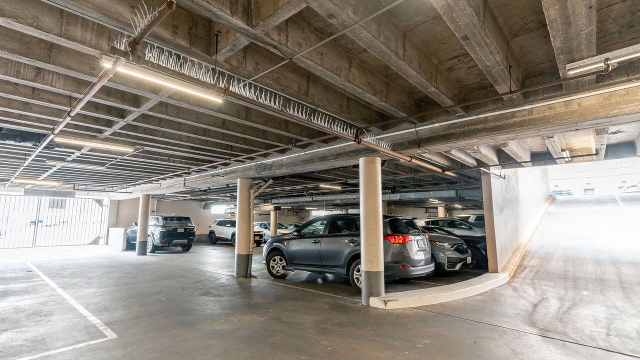 Photo of Others in Pacific Heights