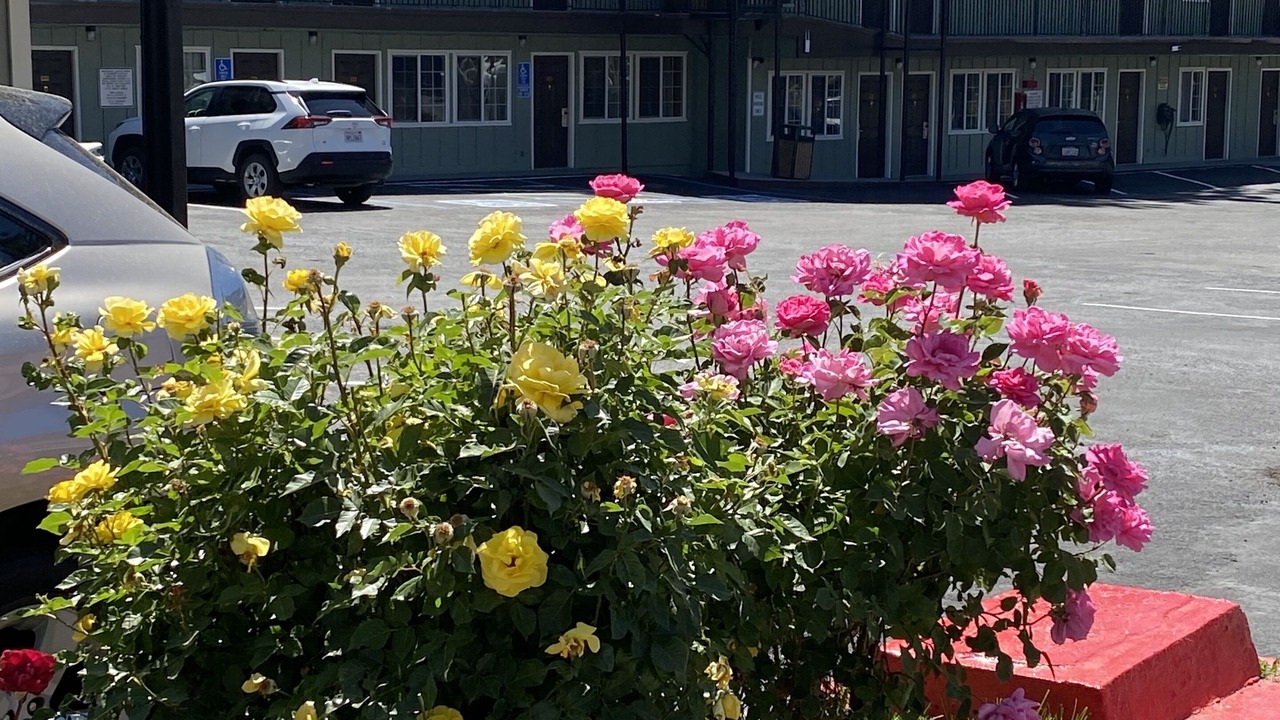 Photo of Outdoor in Lakeside Park