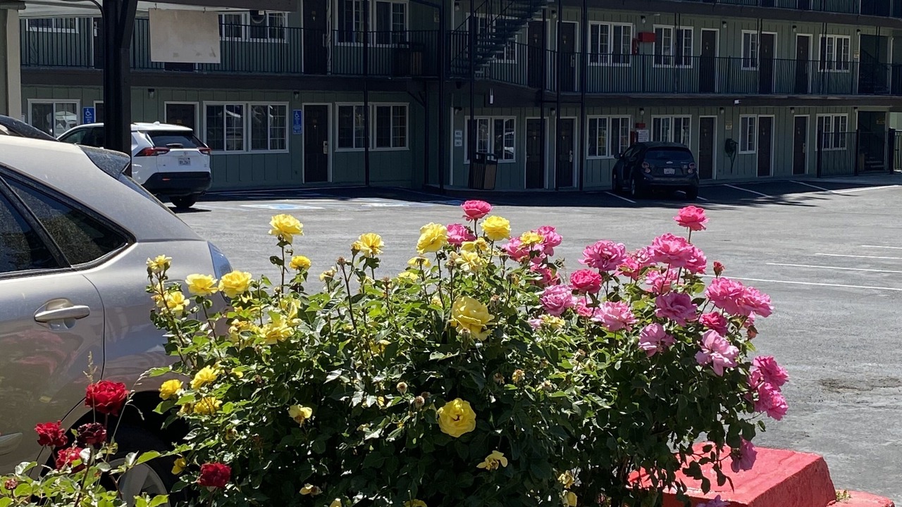 Photo of Outdoor in Lakeside Park
