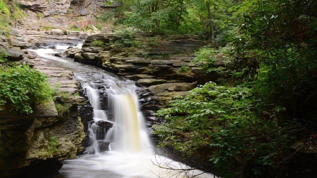 Photo of Outdoor in Scranton