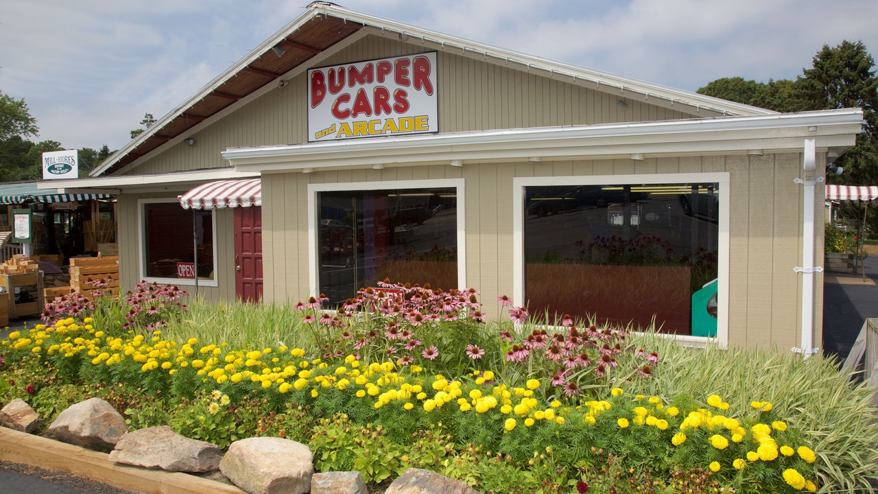 Photo of Others in Dennis Port