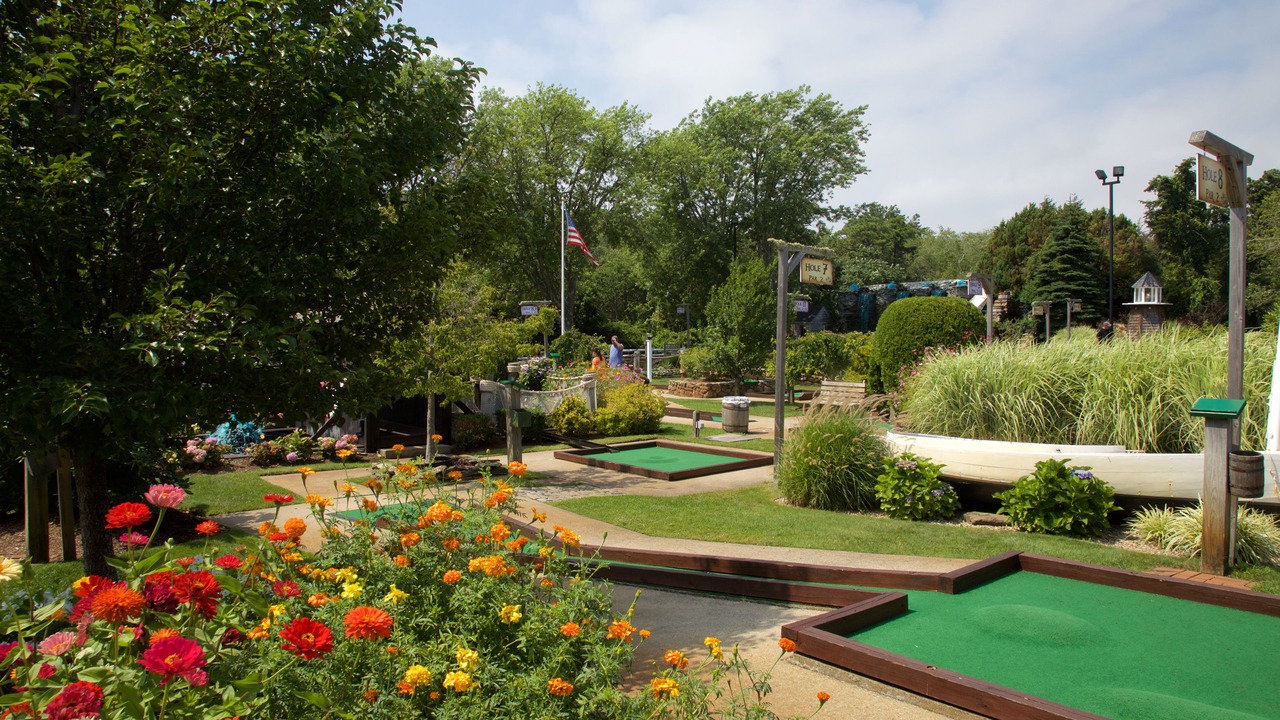 Photo of Others in Dennis Port