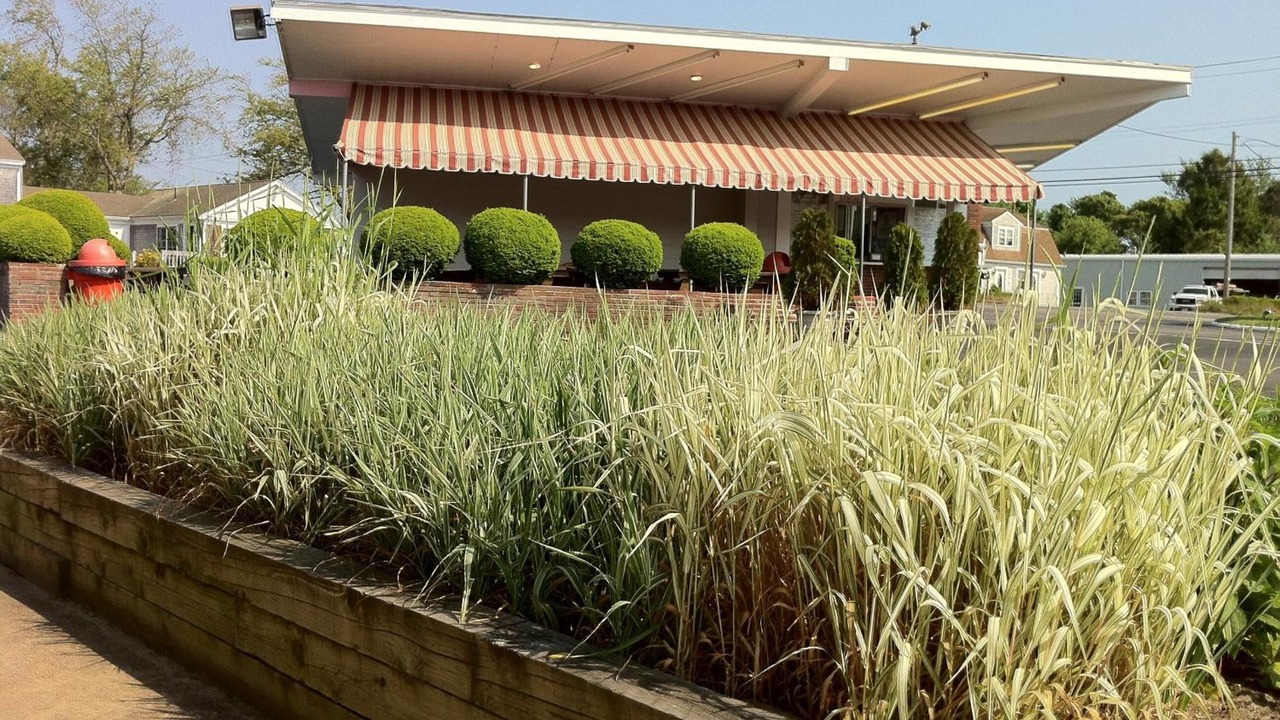 Photo of Outdoor in Dennis Port