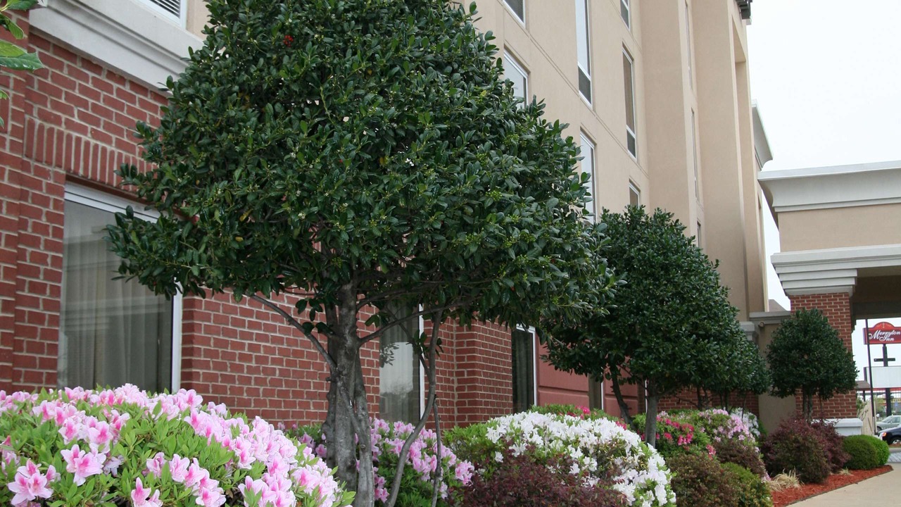 Photo of Outdoor in Shreveport