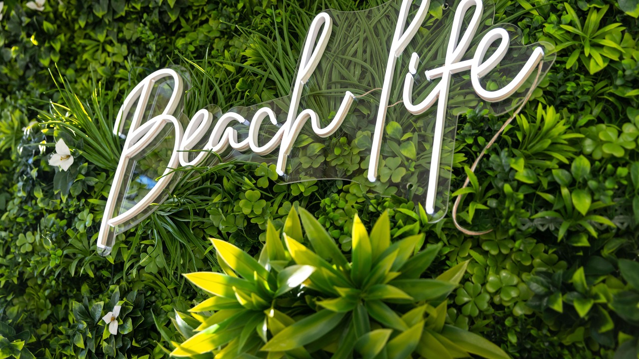 Photo of Others in Les Baumettes