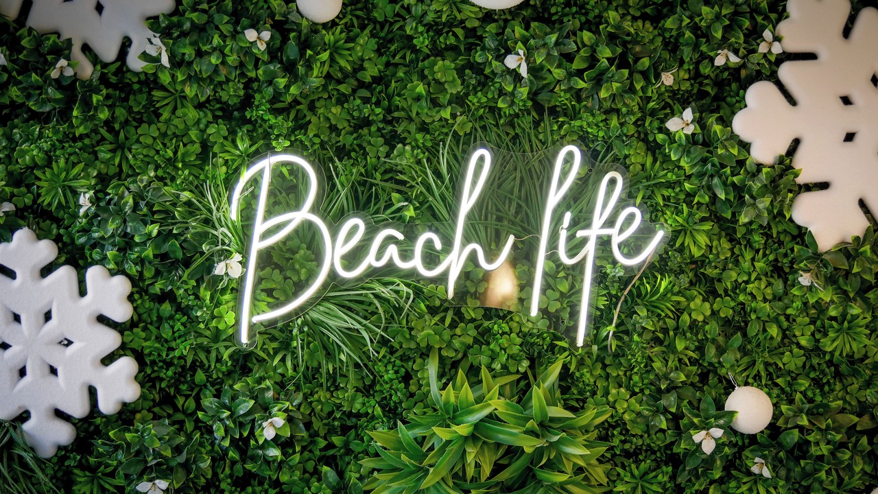 Photo of Others in Les Baumettes