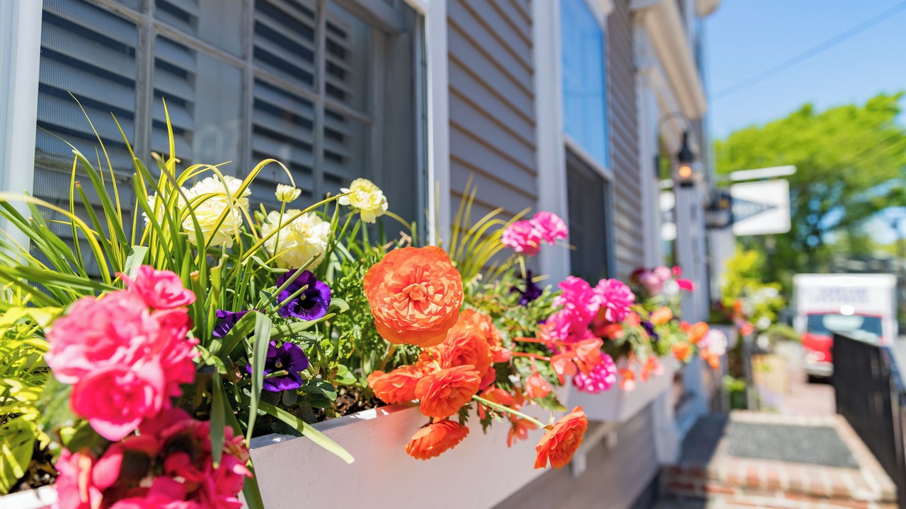 Photo of Outdoor in Nantucket Town