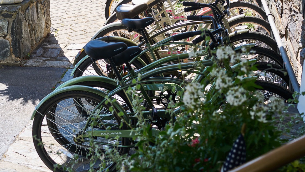 Photo of Outdoor in Scarborough