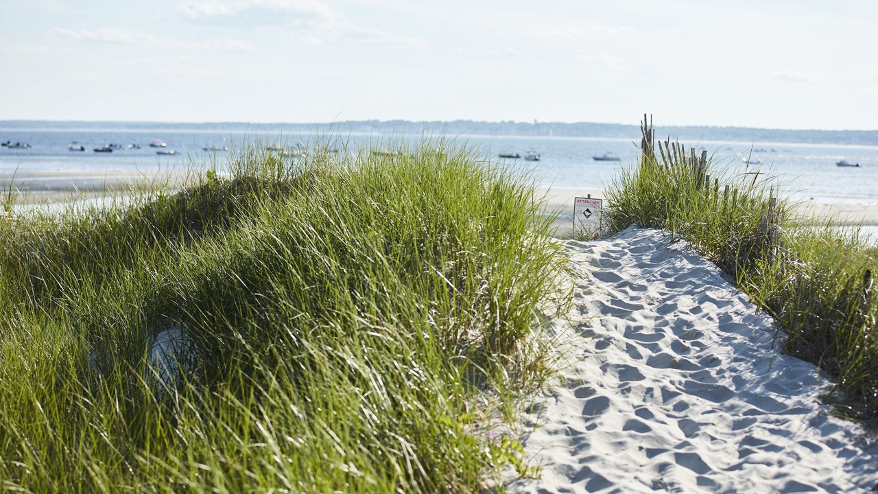 Photo of Others in Scarborough