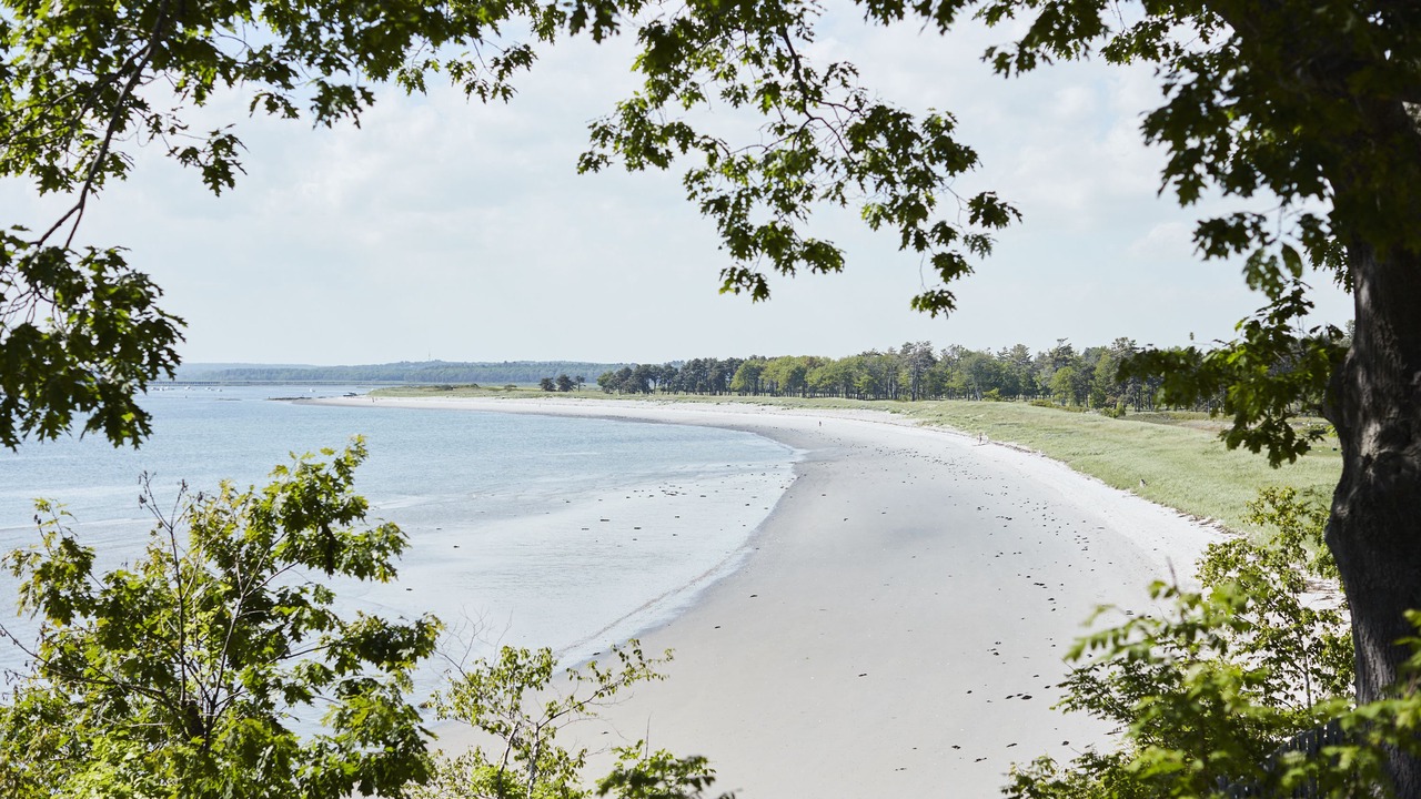 Photo of Others in Scarborough