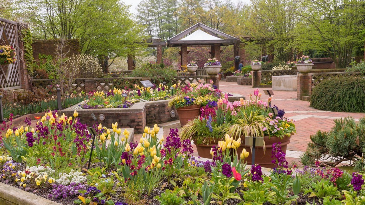 Photo of Others in Glenview