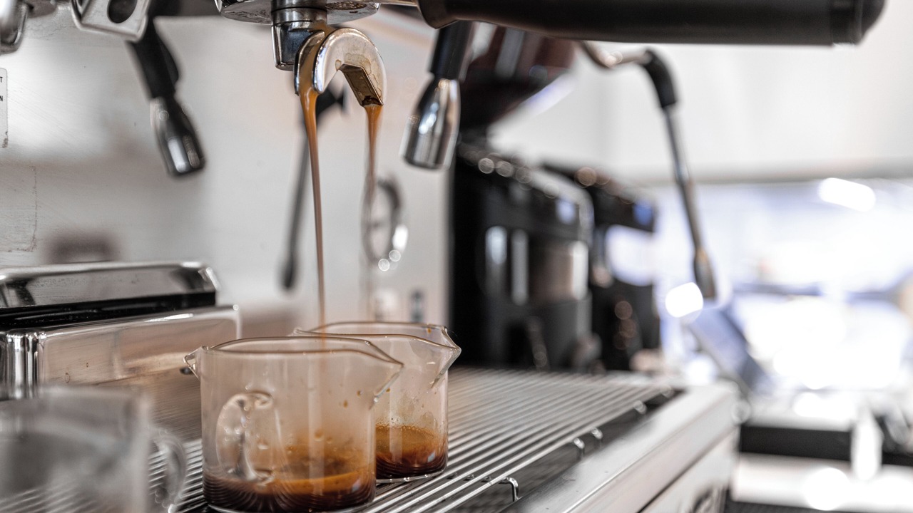 Photo of Others in McCall