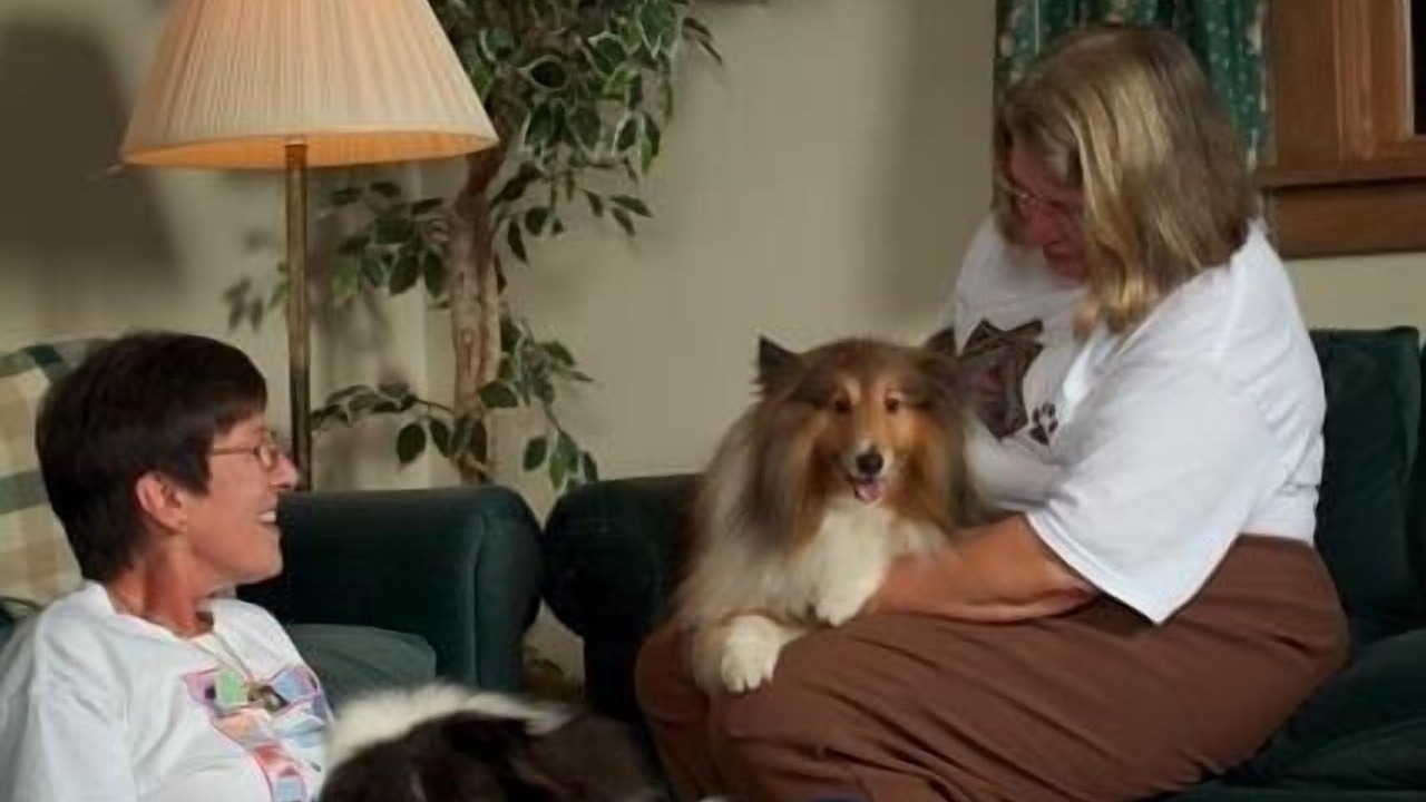 Photo of Others in Stowe Area