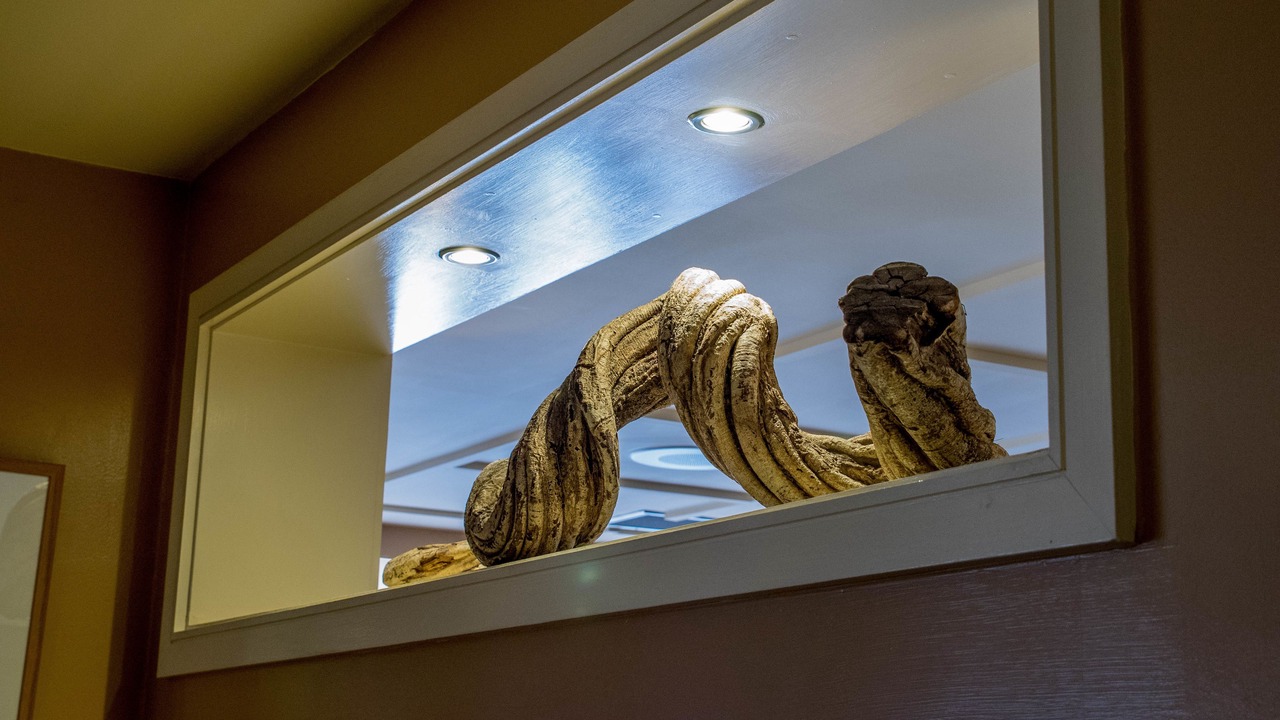 Photo of Others in South Shore