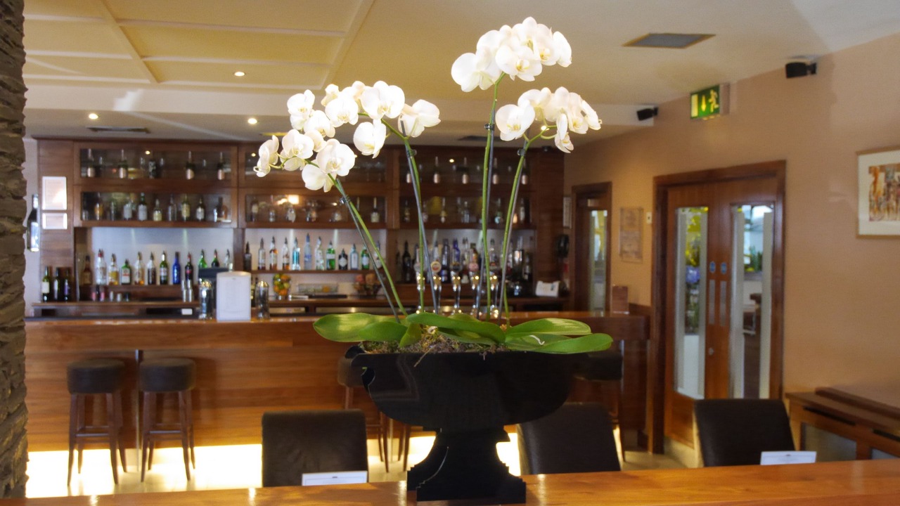 Photo of Others in South Shore