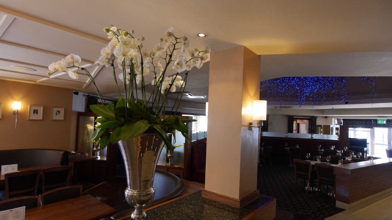 Photo of Others in South Shore