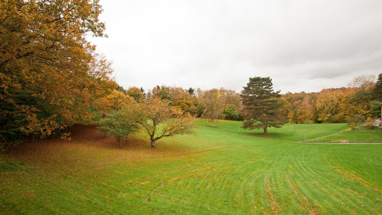 Photo of Outdoor in Holte
