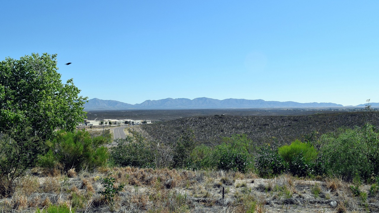 Photo of Others in Tombstone