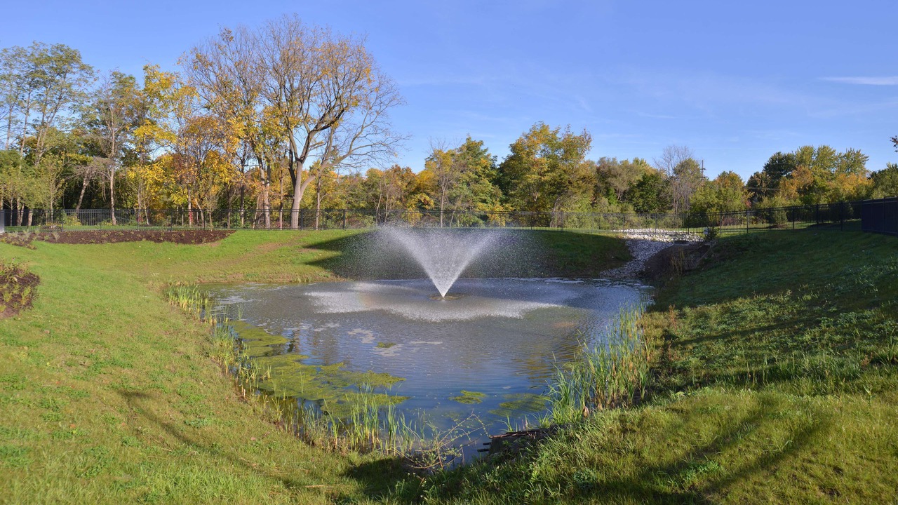 Photo of Outdoor in Ann Arbor