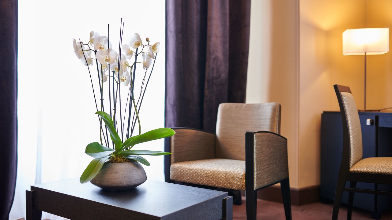 Photo of Others in Dax