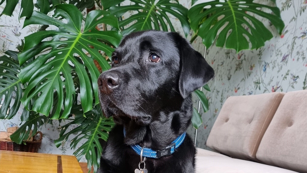 Photo of Others in St Fillans