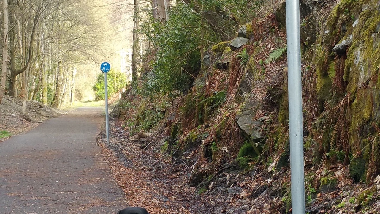 Photo of Outdoor in St Fillans