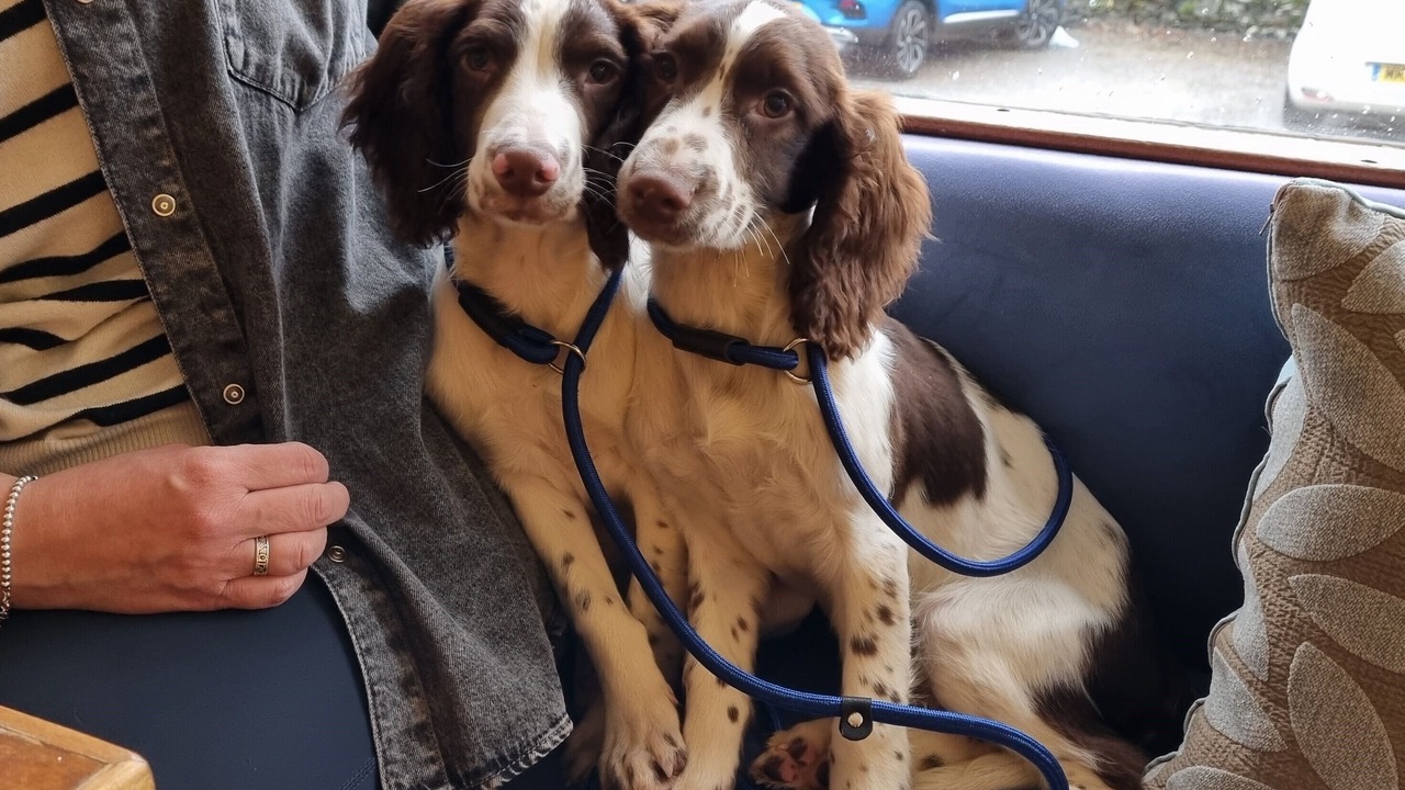 Photo of Others in St Fillans