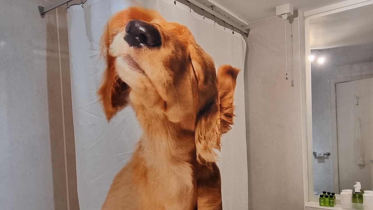 Photo of Bathroom in St Fillans