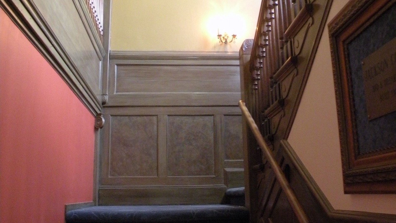 Photo of Others in Pacific Heights