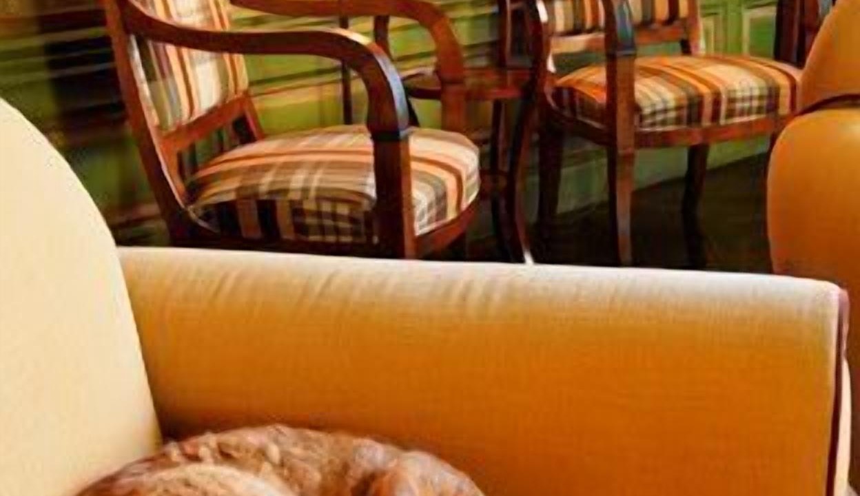 Photo of Others in Chateaubernard