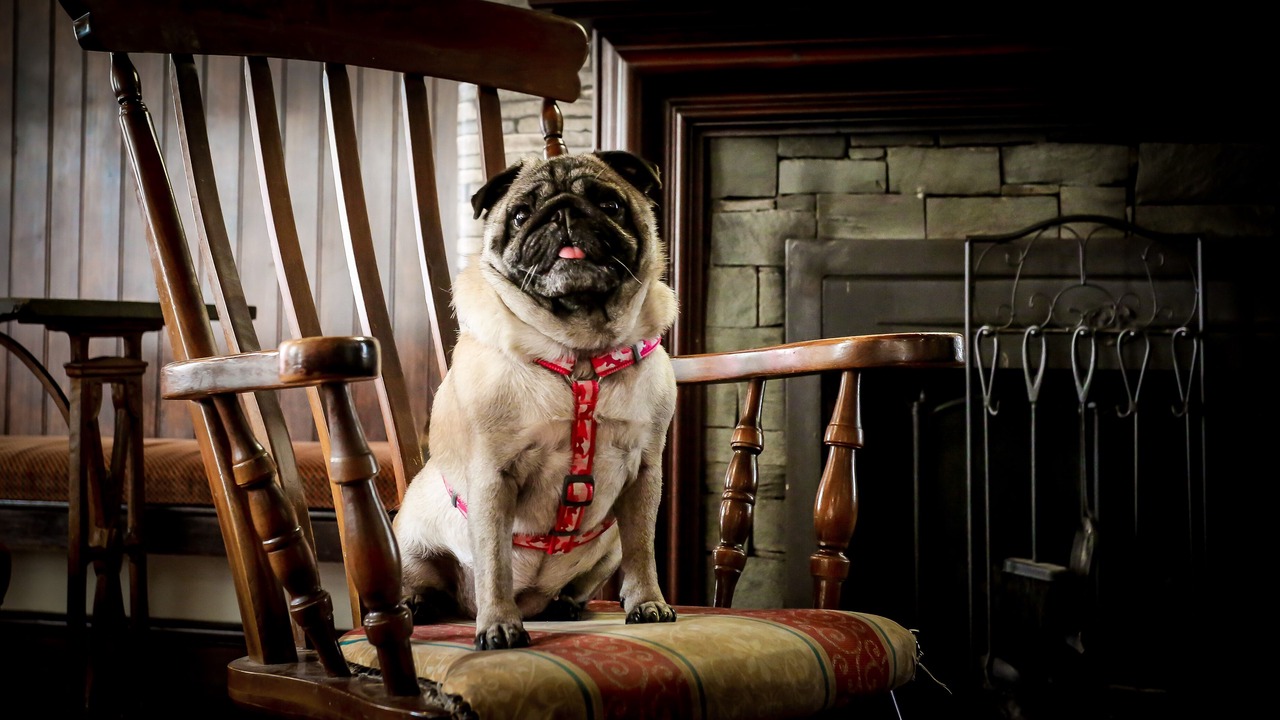 Photo of Others in Wetheral