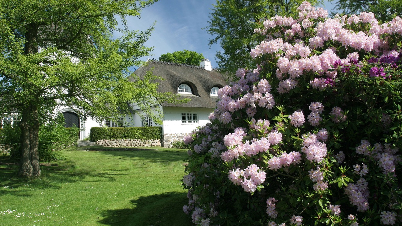 Photo of Outdoor in Snekkersten