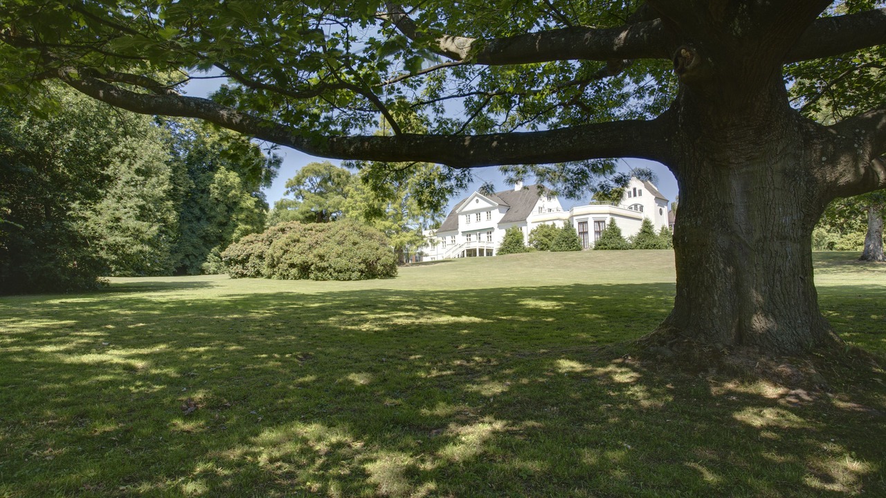 Photo of Outdoor in Snekkersten