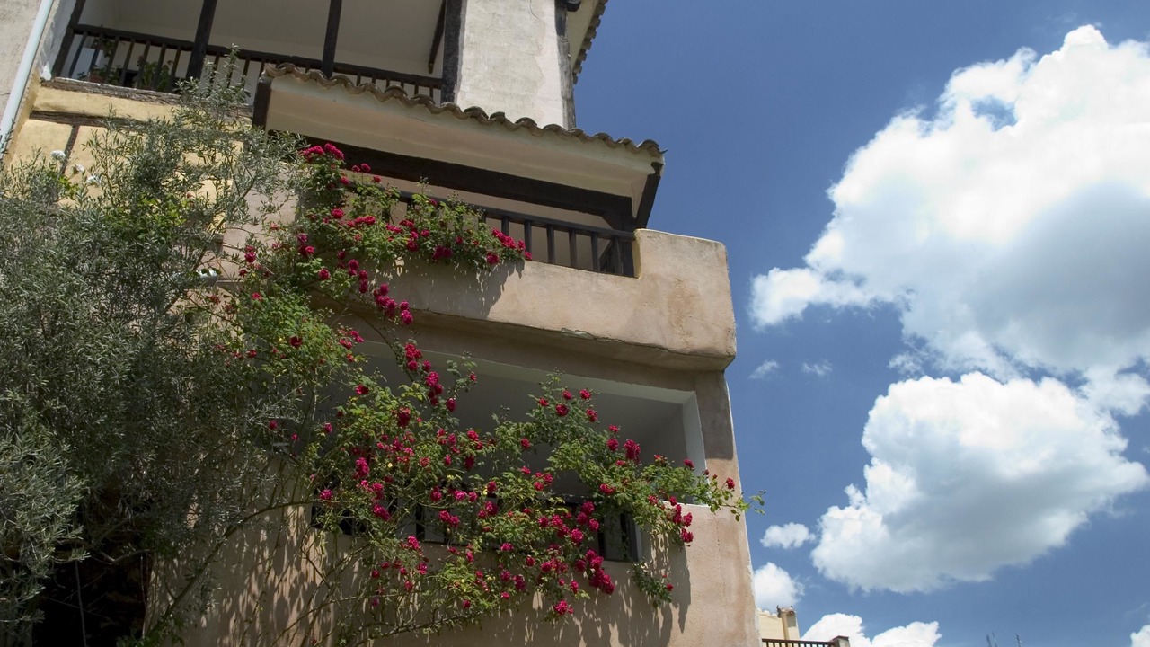 Photo of Outdoor in Old Town