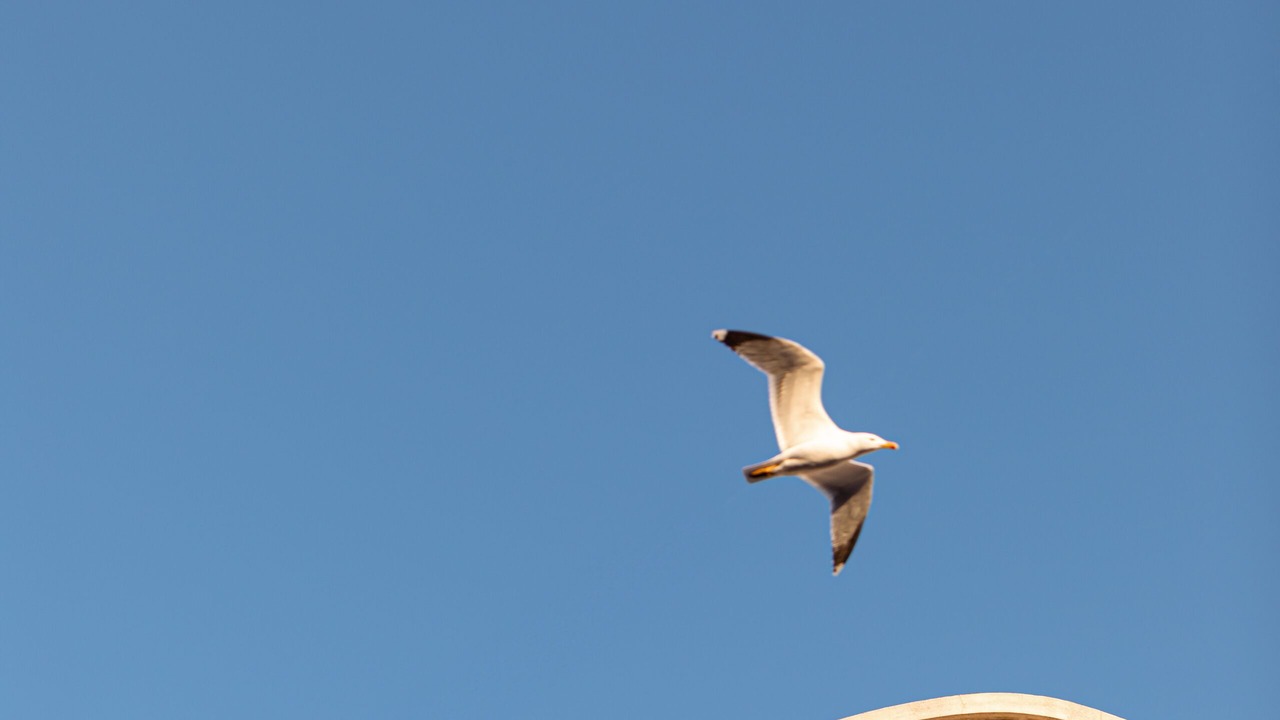 Photo of Others in Old Town