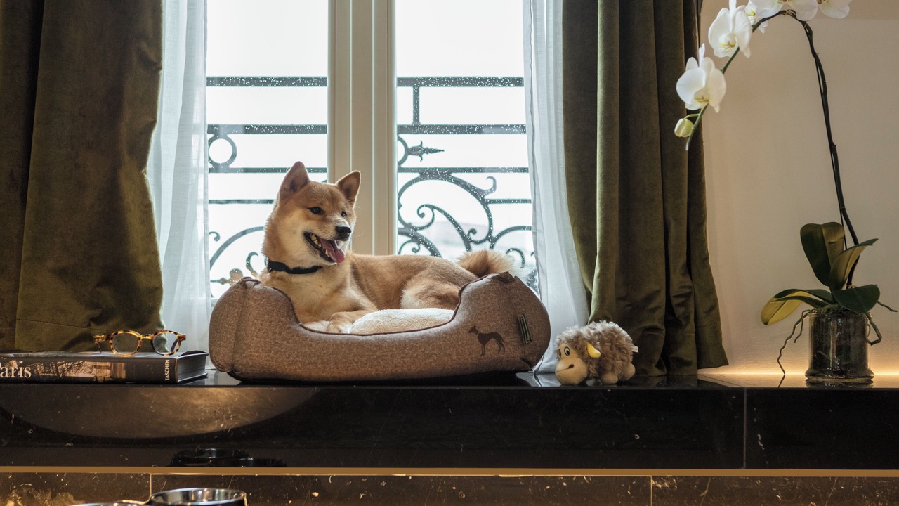 Photo of Others in Madeleine