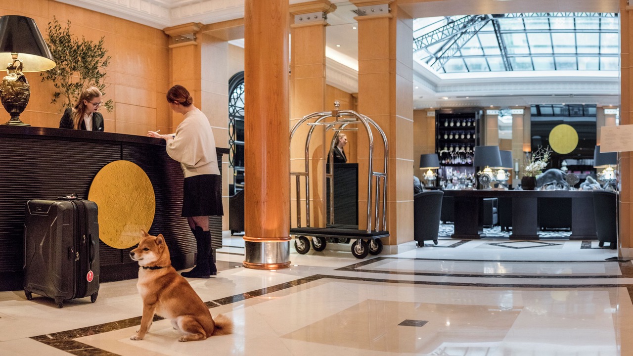 Photo of Others in Madeleine