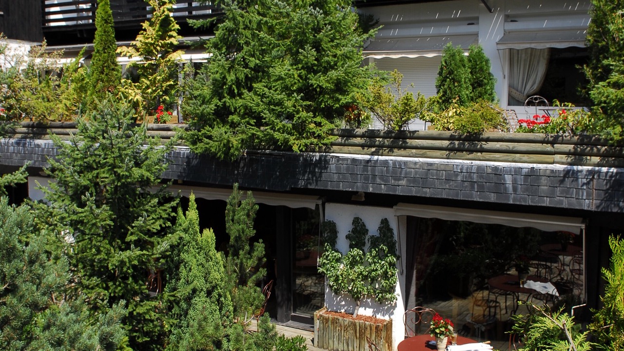 Photo of Outdoor in Megeve