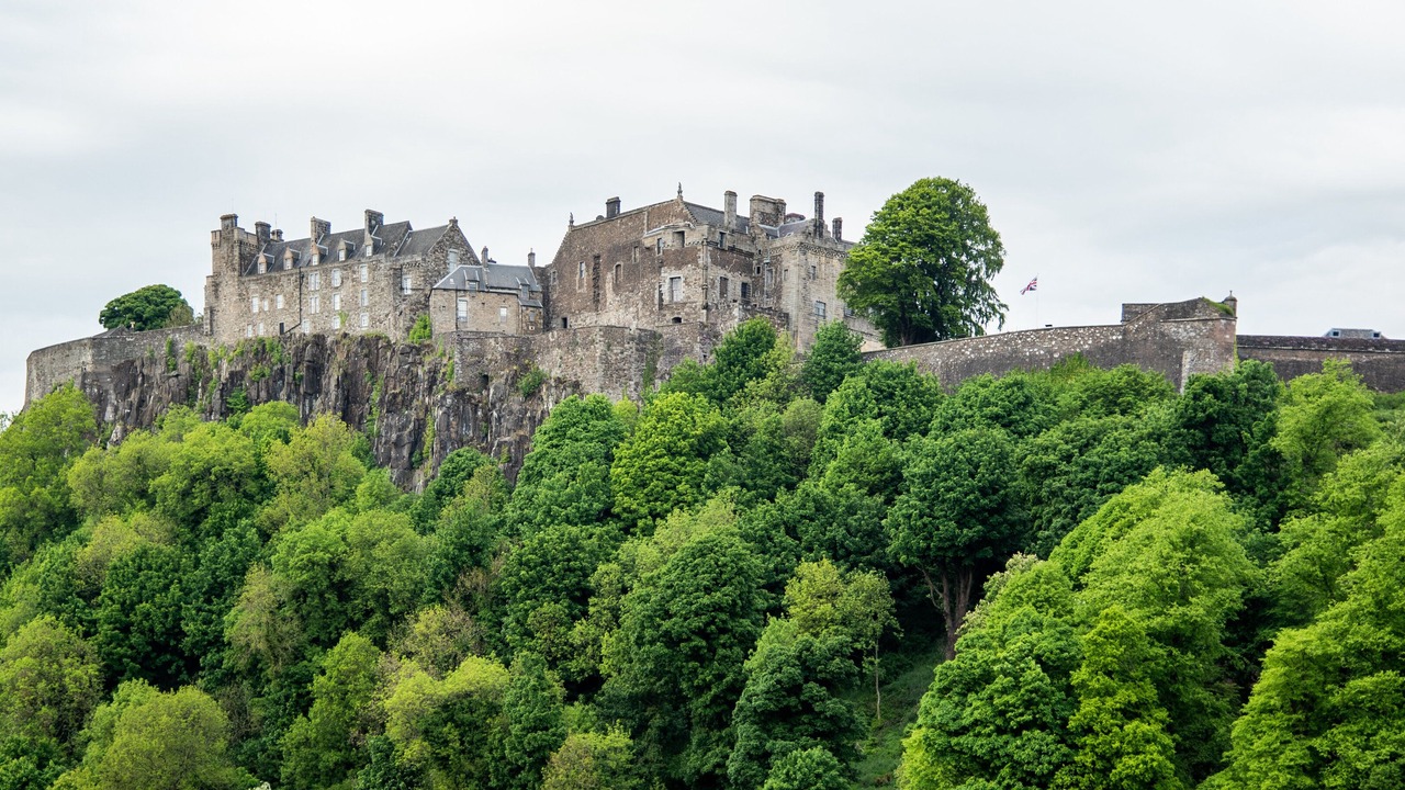 Photo of Others in Tillicoultry