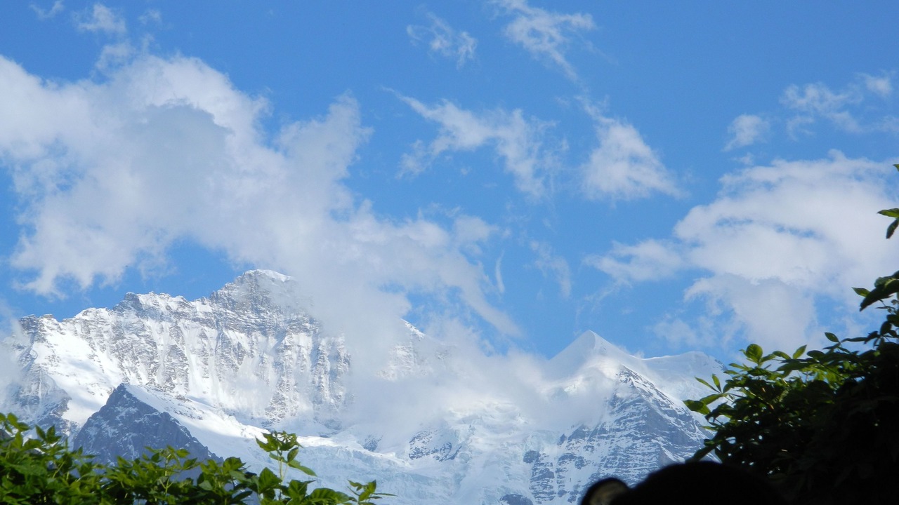 Photo of Others in Wengen