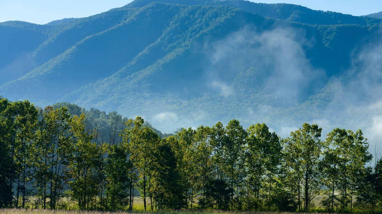 Photo of Outdoor in Gatlinburg