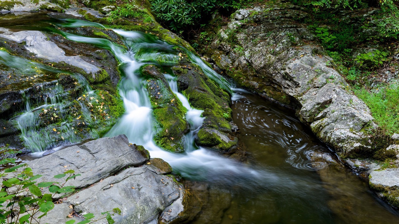 Photo of Outdoor in Gatlinburg