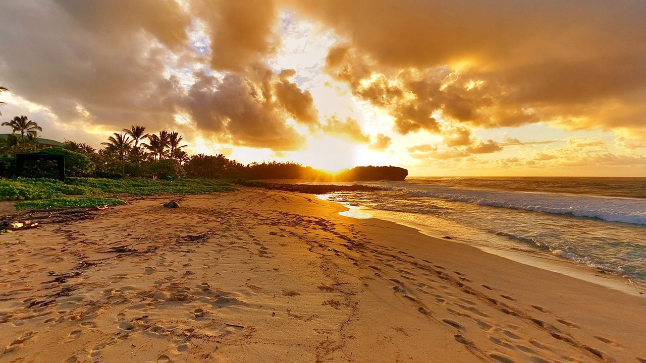 Photo of Others in Poipu