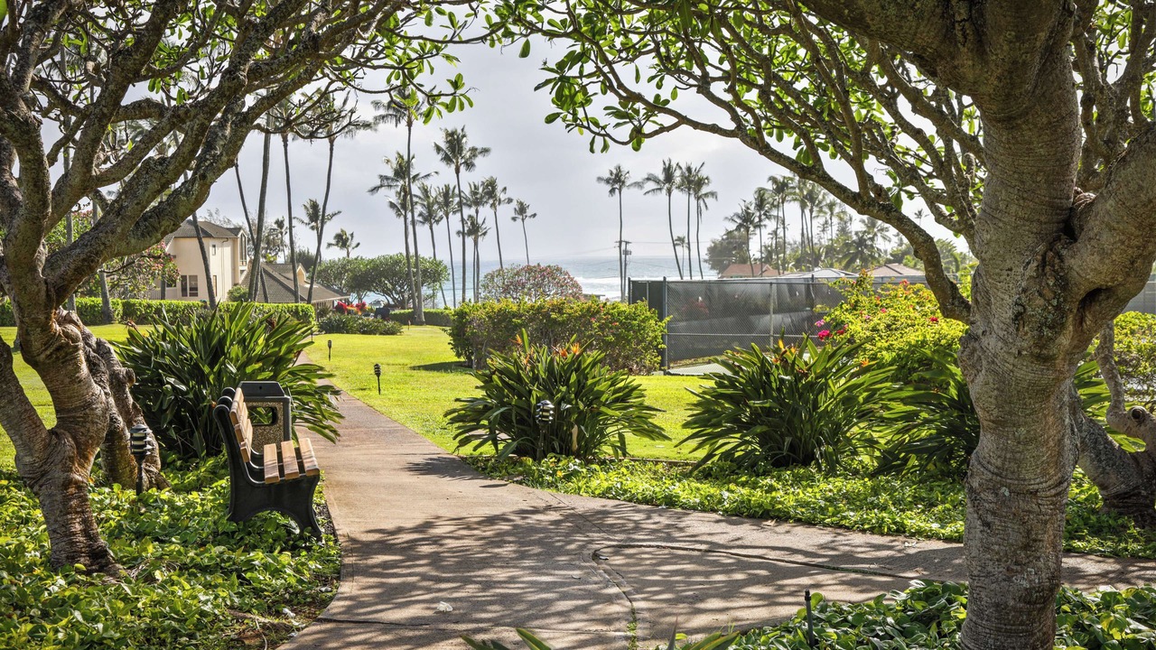 Photo of Outdoor in Poipu